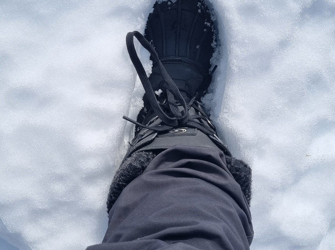 AndoAndes - Day Tours-圣地亚哥必去景点