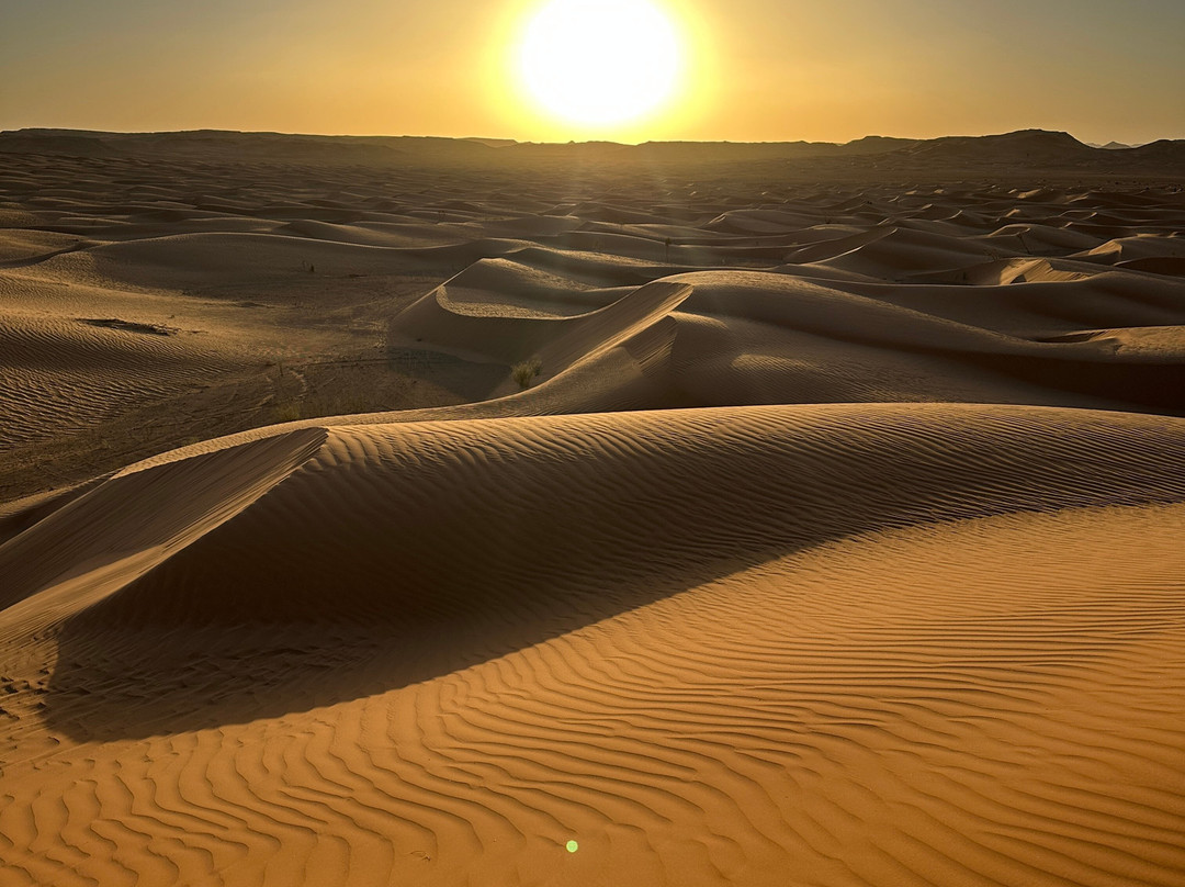 Discover Ghardaia Travel Agency-盖尔达耶必去景点