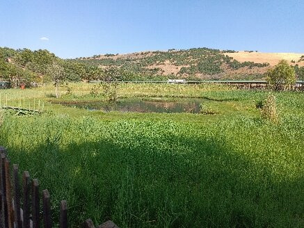 Yuzen Ada-Bingol必去景点