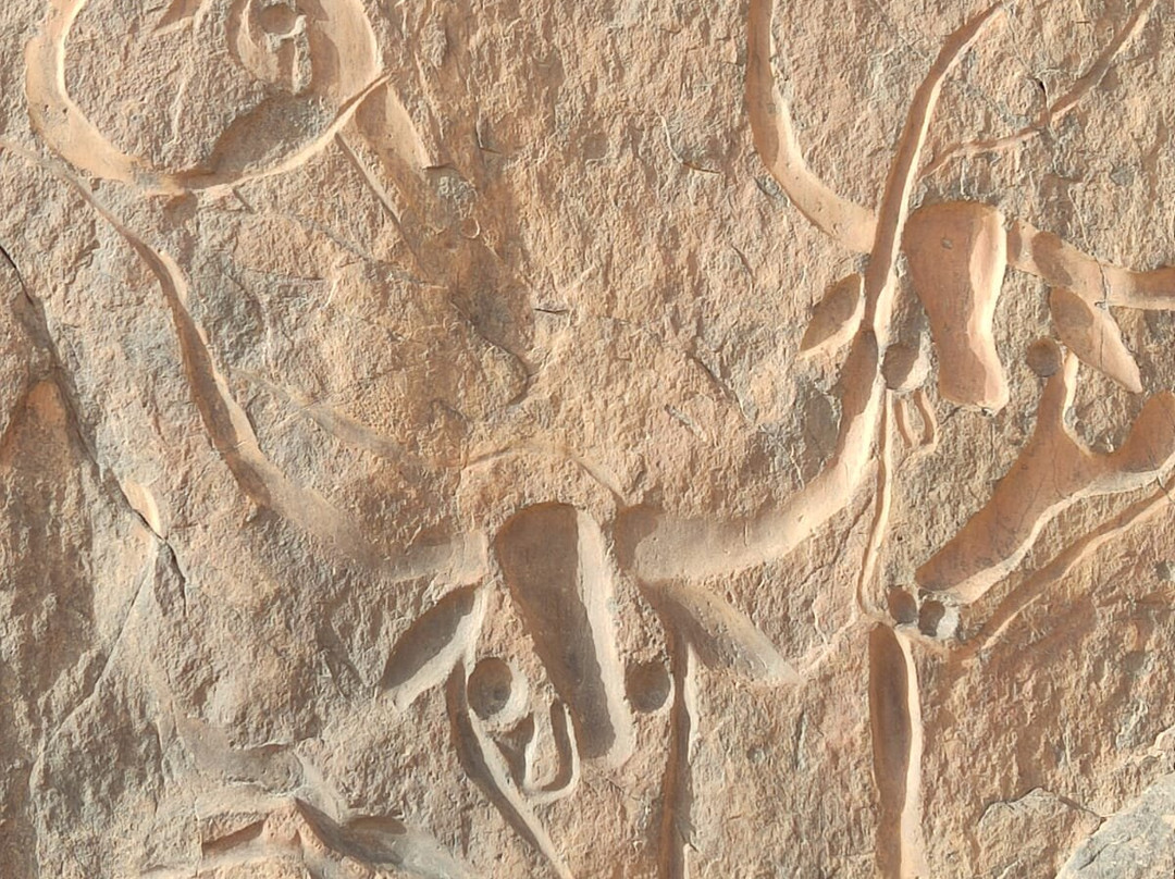 Mouflon Tourisme景点图片