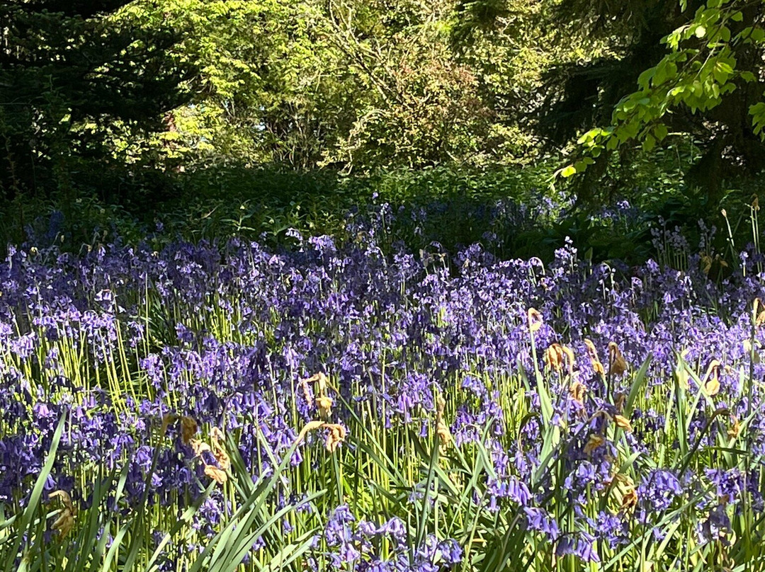 Dunninald Castle And Gardens-Montrose必去景点