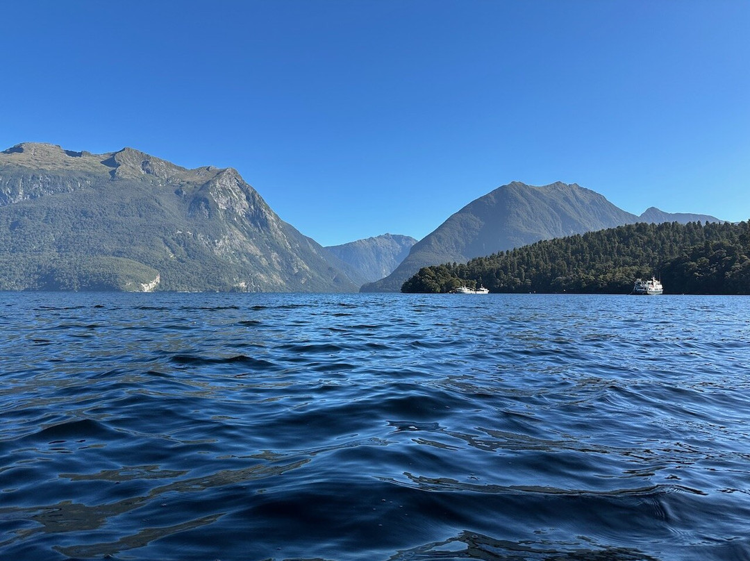 Fiordland Expeditions - Doubtful Sound Overnight Cruises & Multi Day Charters-马纳普里必去景点