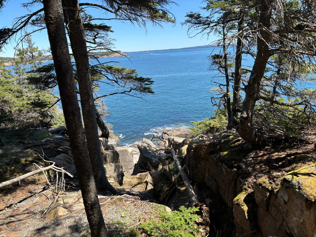 Otter Cliff-阿卡迪亚国家公园必去景点