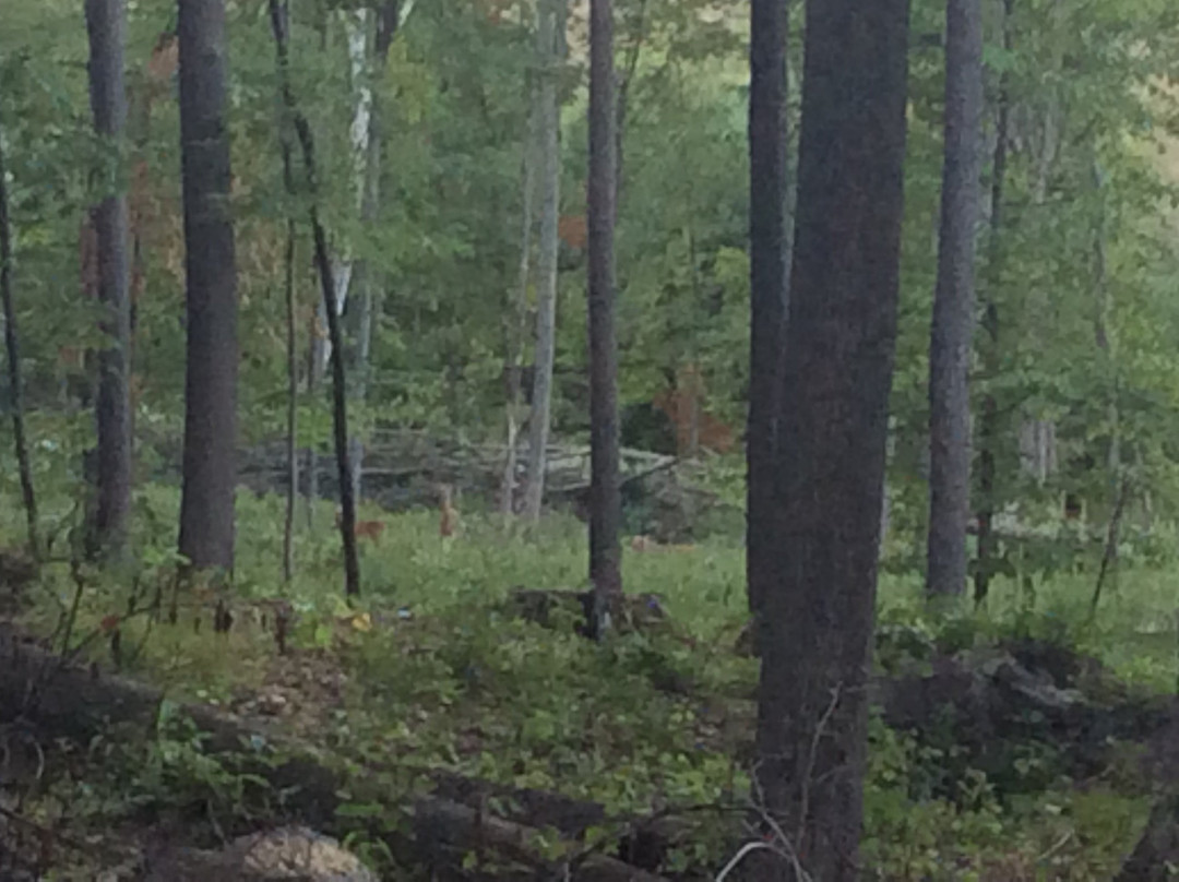 利勒诺县酒店住宿-Dune Climb Inn