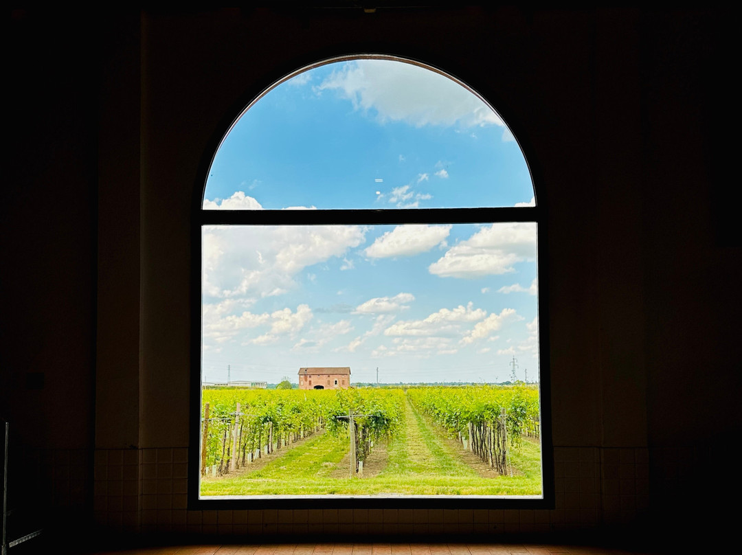 Cleto Chiarli - Tenute Agricole-Castelvetro di Modena必去景点