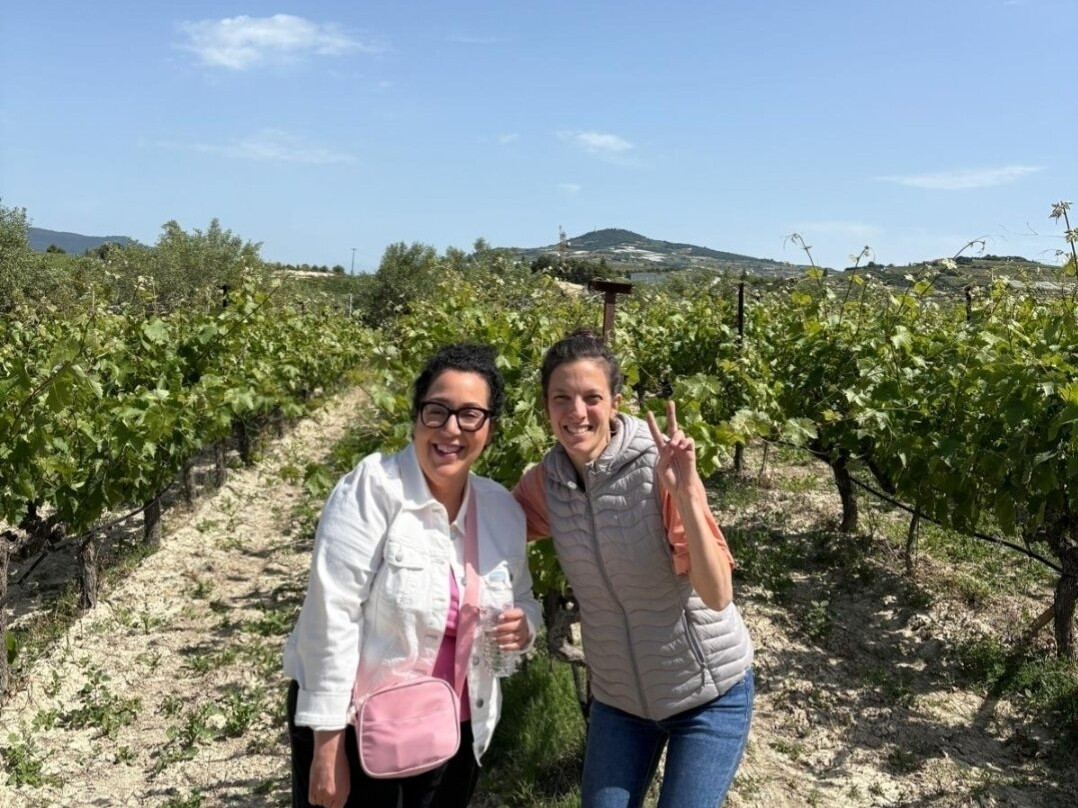 Gaia Winery-Koutsi必去景点