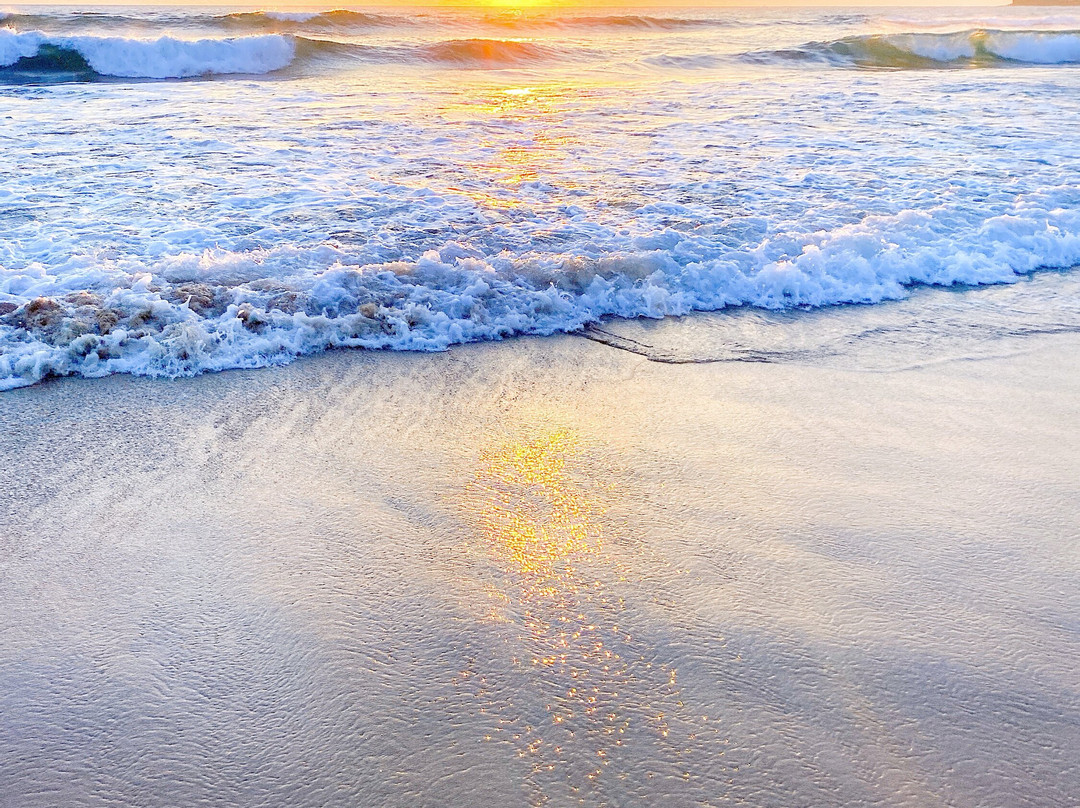 亚特兰蒂斯酒店主图