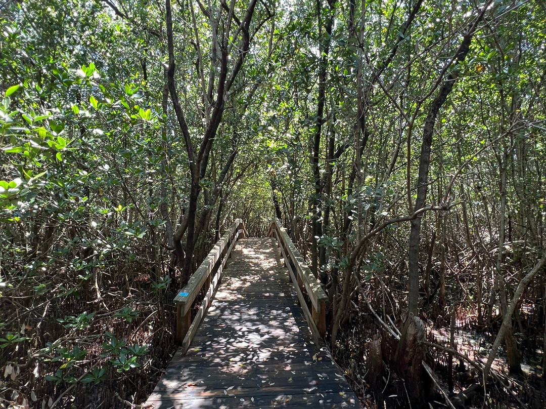 Florida Oceanographic Coastal Center-斯图尔特必去景点