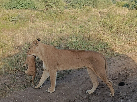 Wamunyoro Eco Safari-内罗毕必去景点