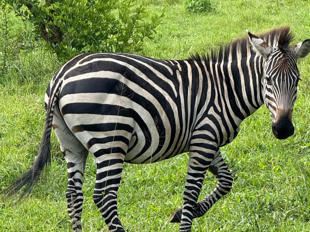 Mukiza Gorilla Expeditions-Kanungu必去景点