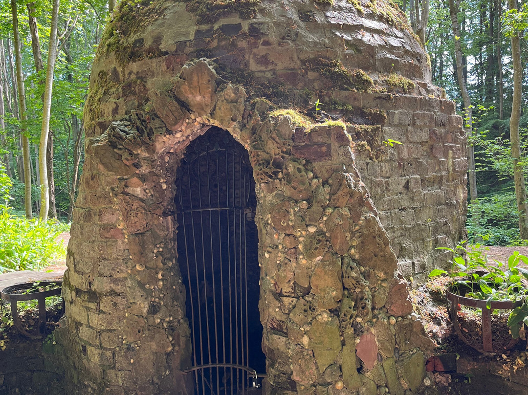 Dunnottar Woods-斯通黑文必去景点