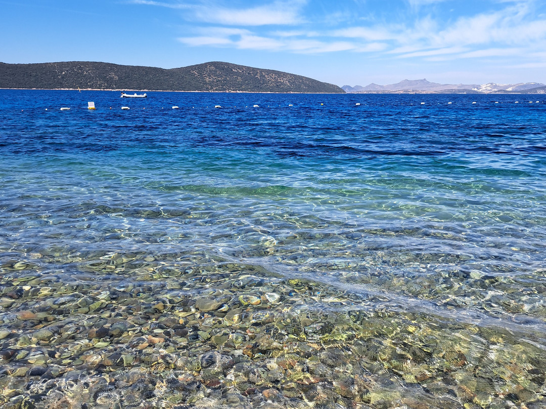 Clean Room at Chrissant Hotel & Guest House
