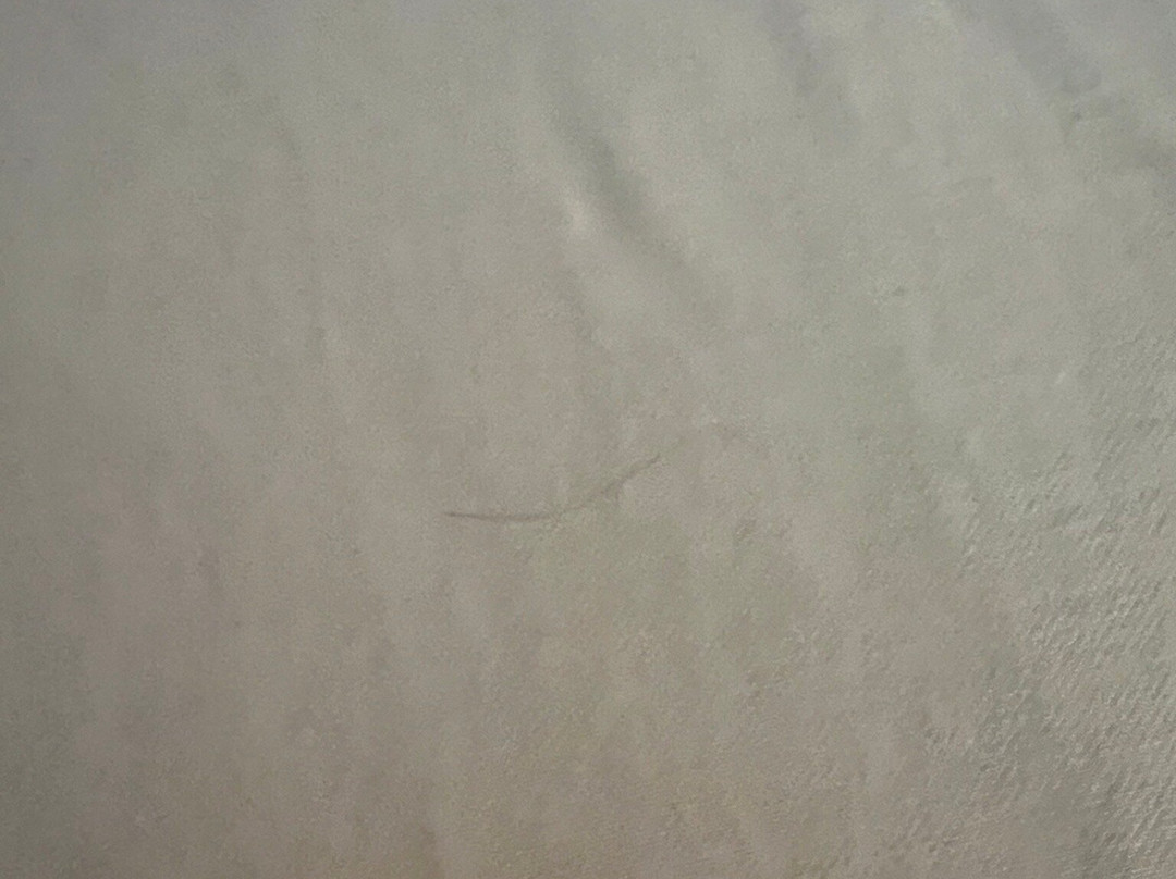 TownePlace Suites by Marriott Charlotte Mooresville主图