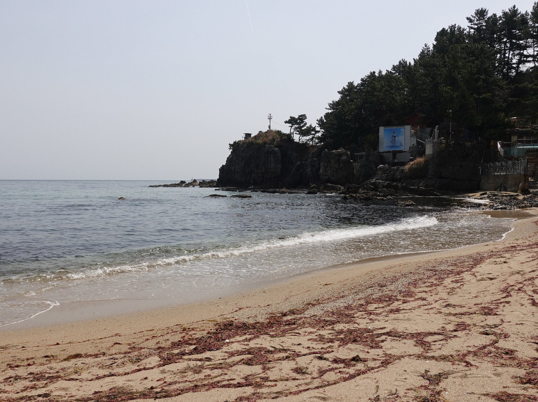 Gamchu Beach-东海市必去景点