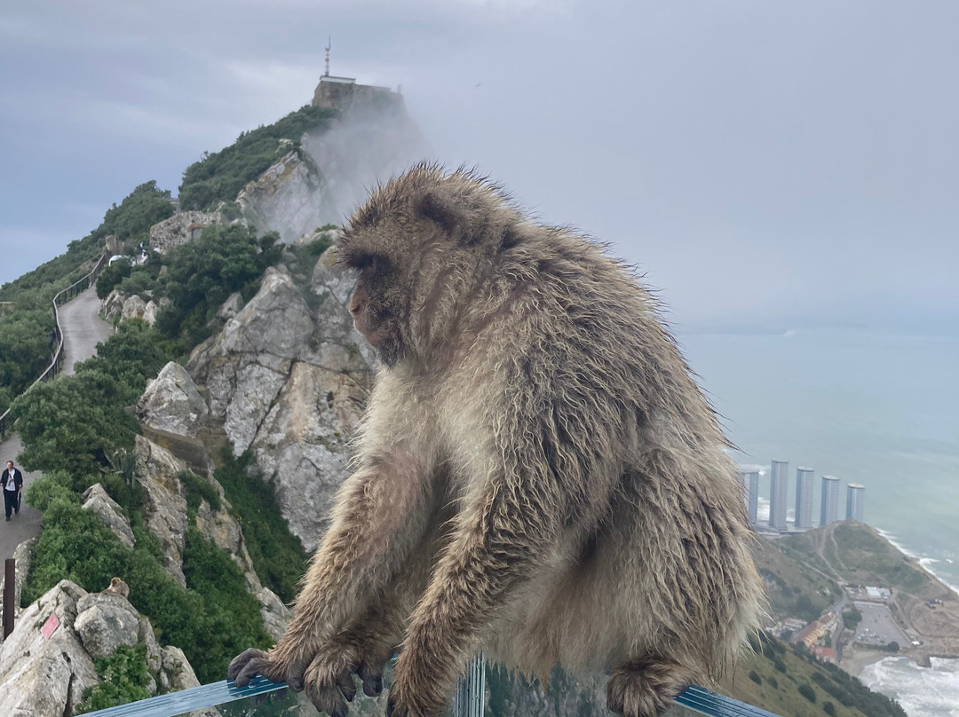 Aventuras Del Sur-塔里法必去景点