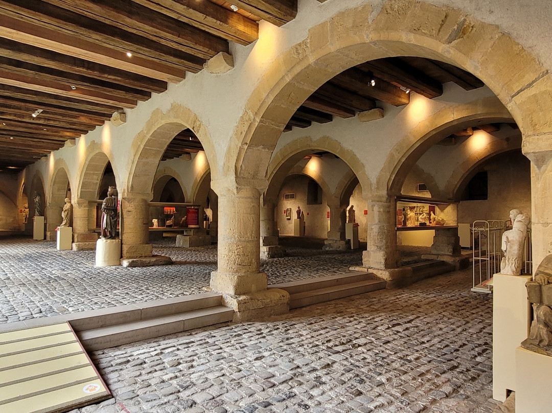 Museum of La Cour d'Or景点图片