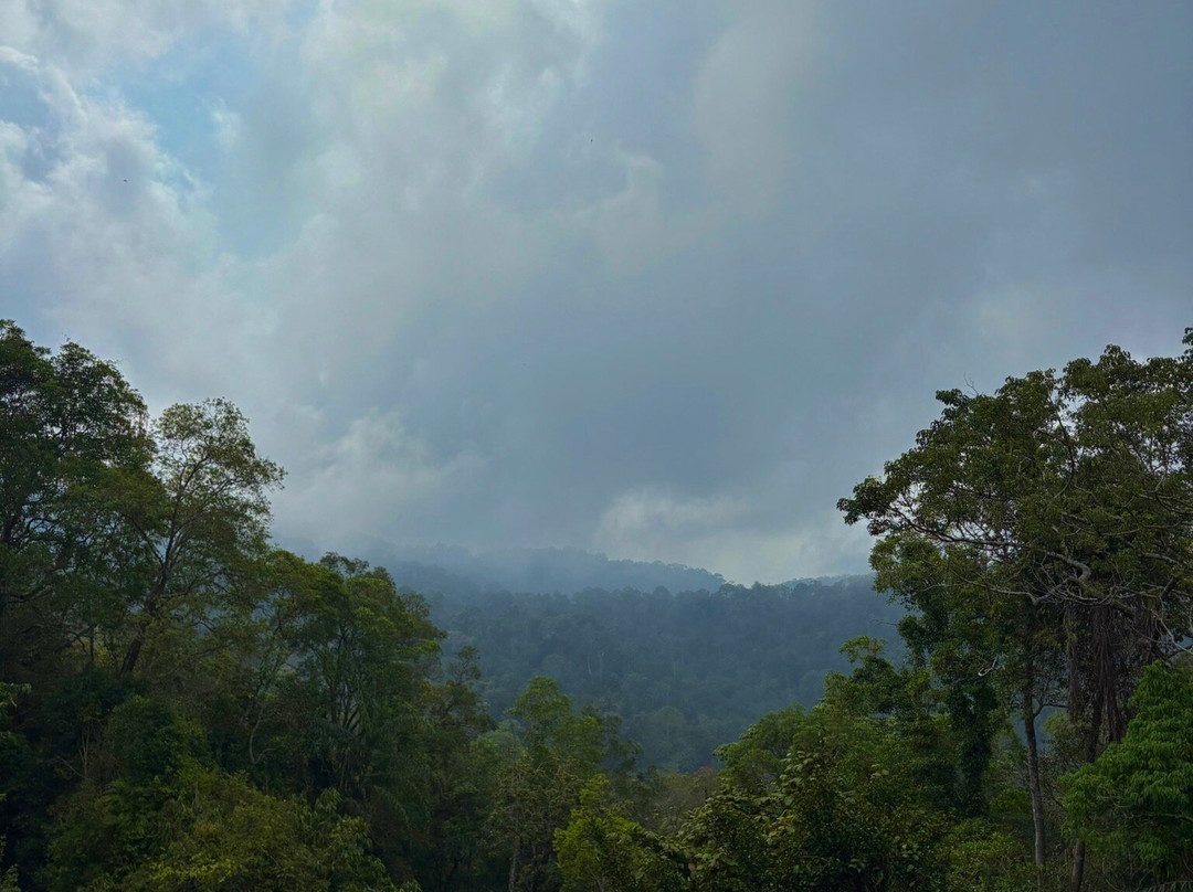 The Habitat Penang Hill景点图片