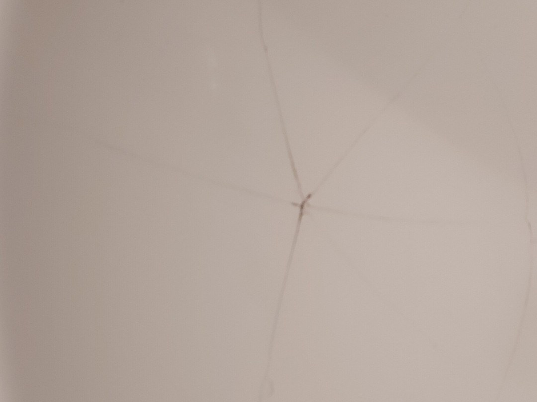 祖姆本奈迪克汀弗拉尔酒店主图