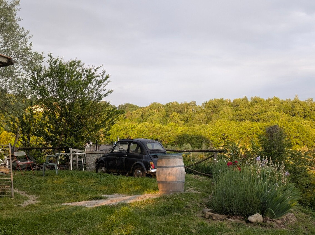 Agriturismo Il Poggio alle Ville主图
