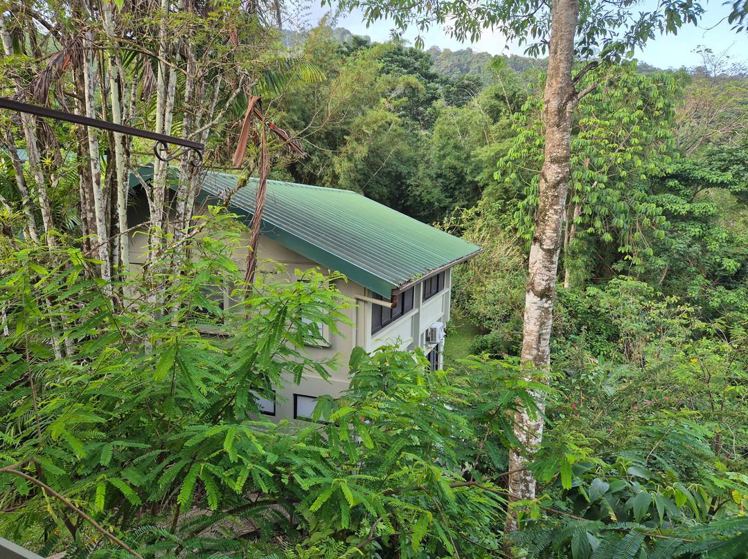 Hadco Experiences At Asa Wright Nature Centre-特立尼达必去景点