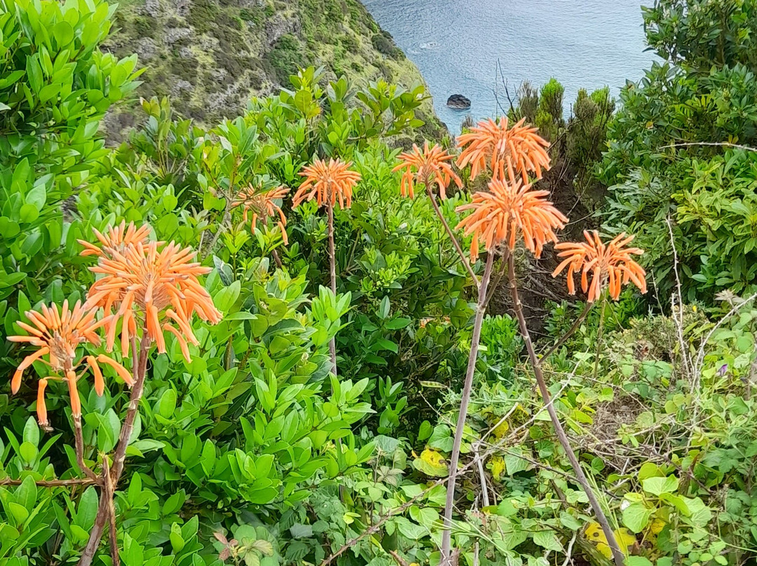 Baia do Raposo-波尔图镇必去景点