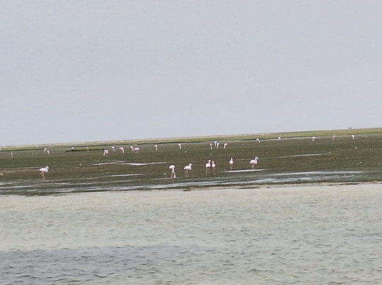 Dakhla trip guide-达赫拉必去景点