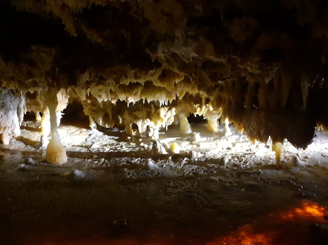 Grotte du Grand Roc景点图片