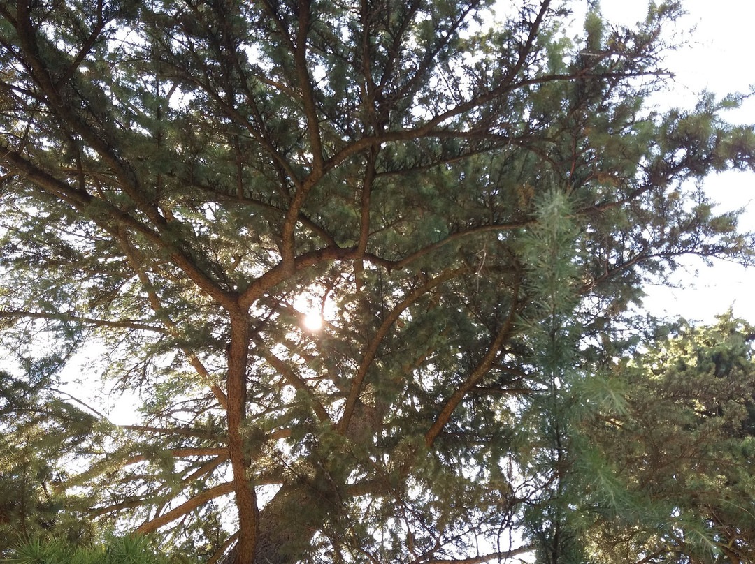 Parco Acque Minerali景点图片