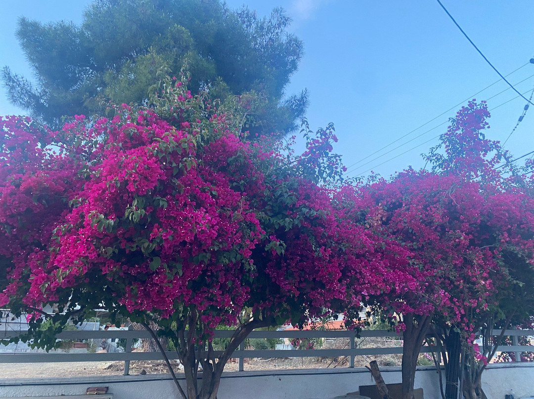 Cascade Holiday Resort主图