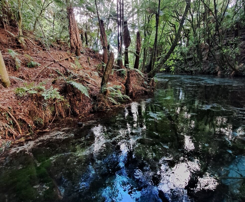 Hamurana Springs Nature Reserve-哈姆拉娜必去景点