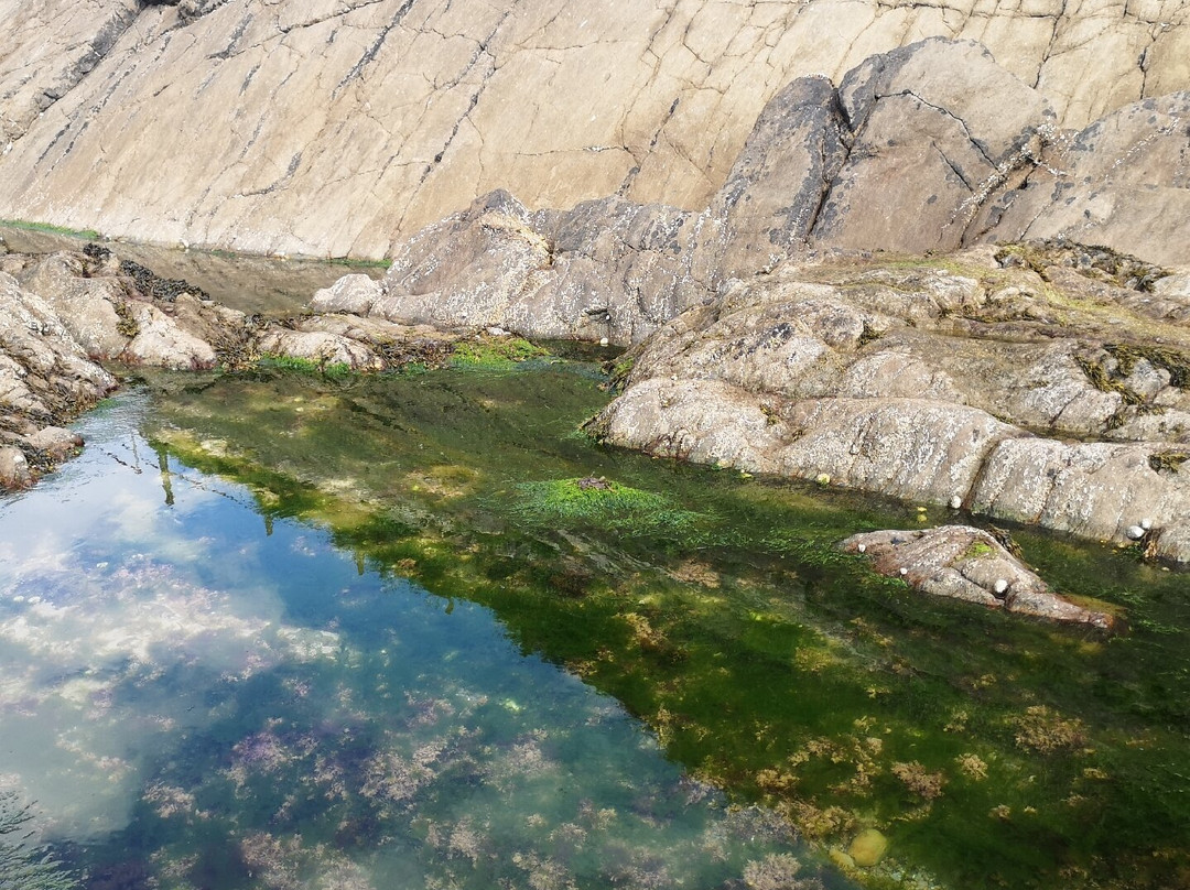 Combe Martin Beach景点图片