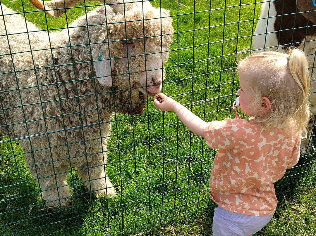 Manorafon Farm Park景点图片