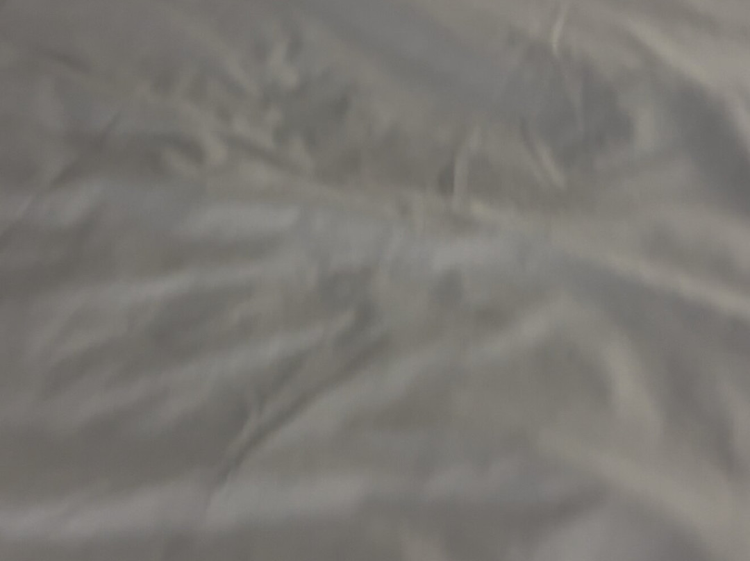 Baymont by Wyndham Glenview主图