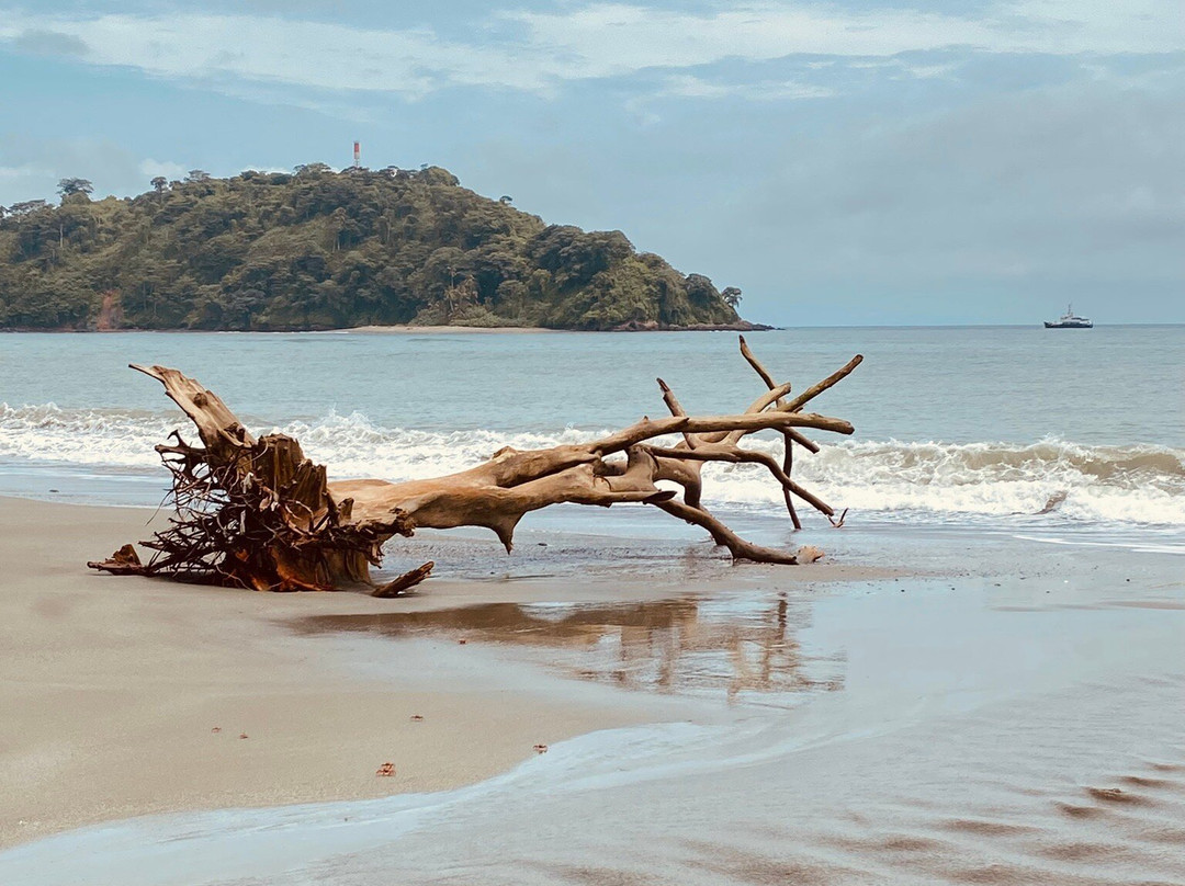 Guapitours-Guapi必去景点