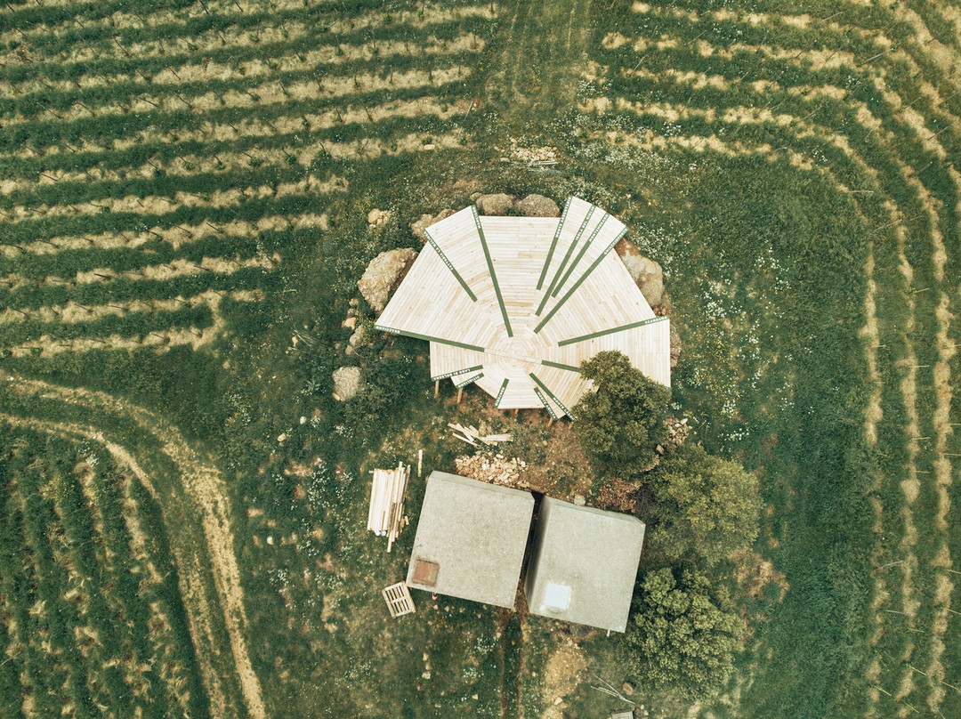 Fattoria La Maliosa景点图片