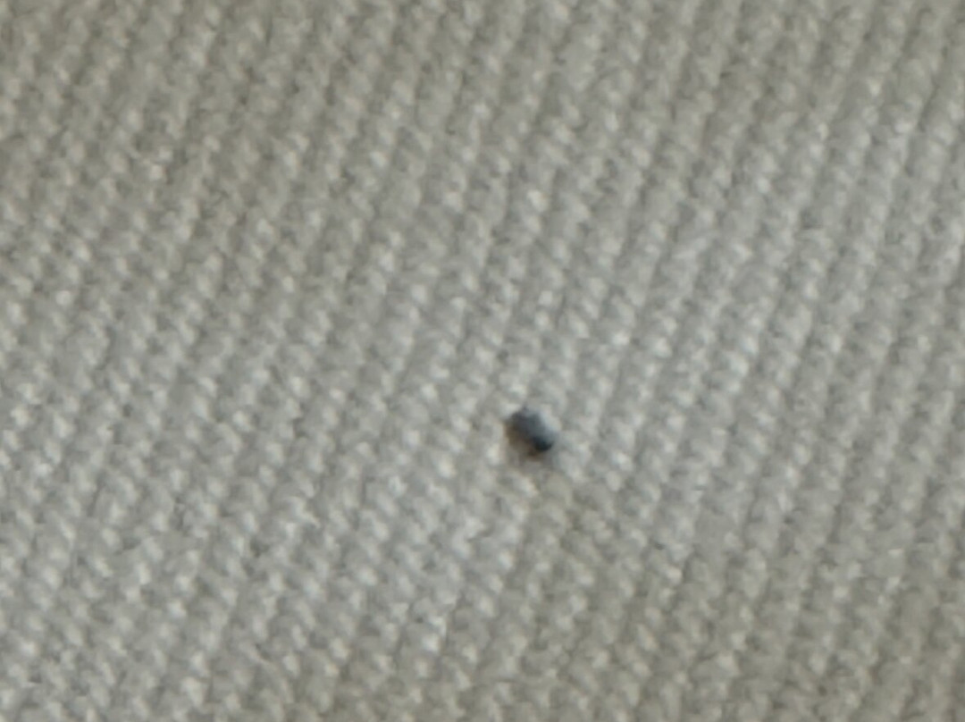 The Stella Hotel & Ballroom主图