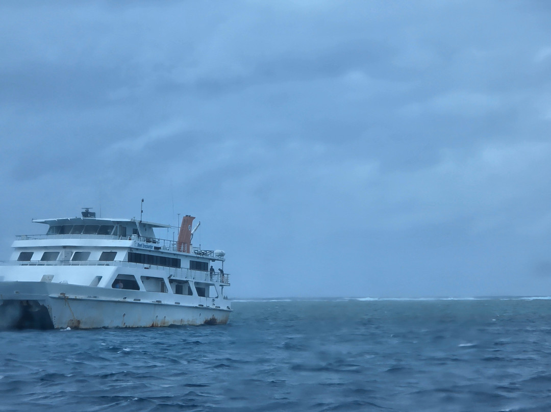 Reef Encounter-凯恩斯必去景点