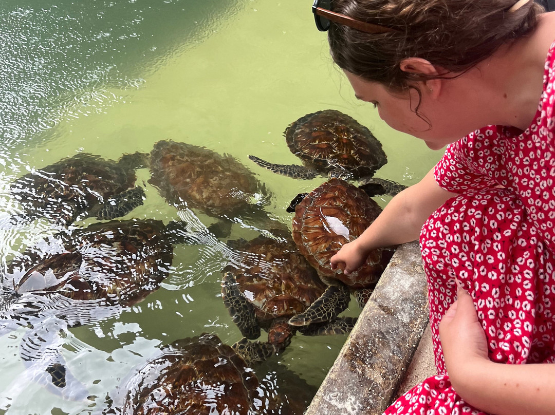 Zanleisuretours & Safaris-桑给巴尔市必去景点