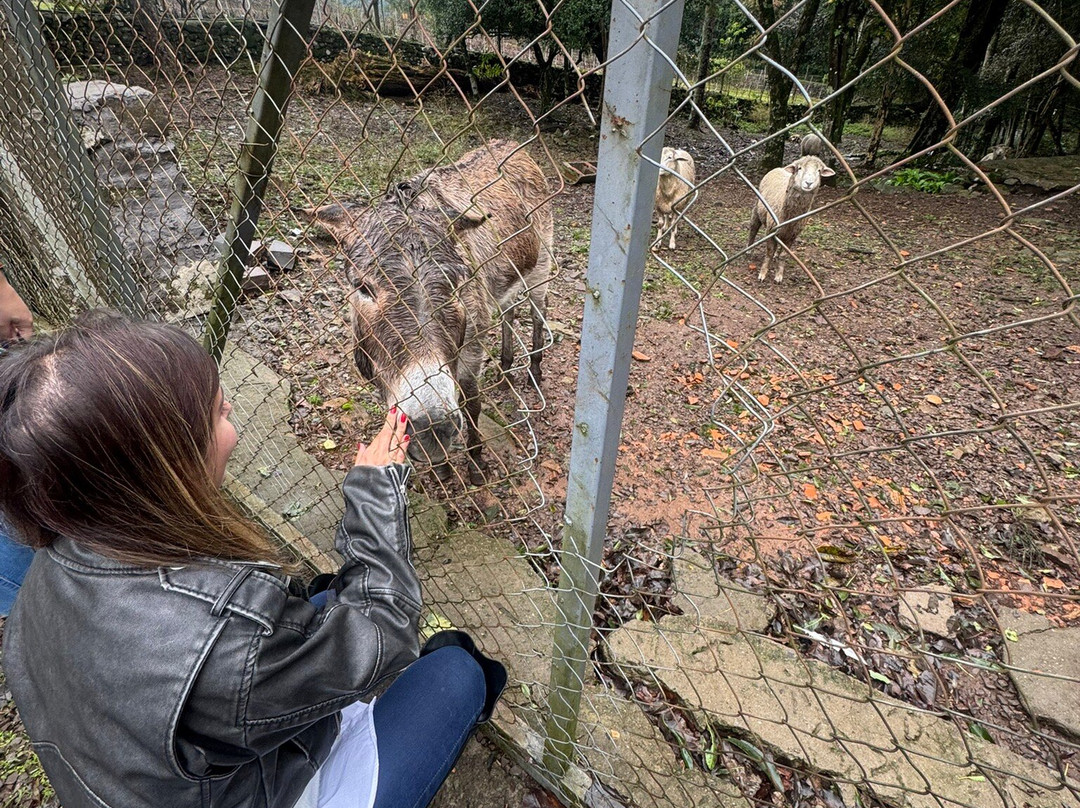 Dal Pizzol Vinhos Únicos-本图贡萨尔维斯必去景点