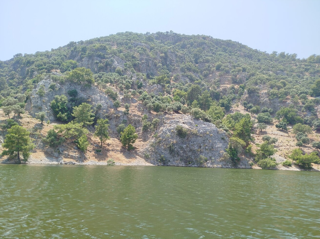 Kingfisher 1 Boat Tours-穆拉必去景点