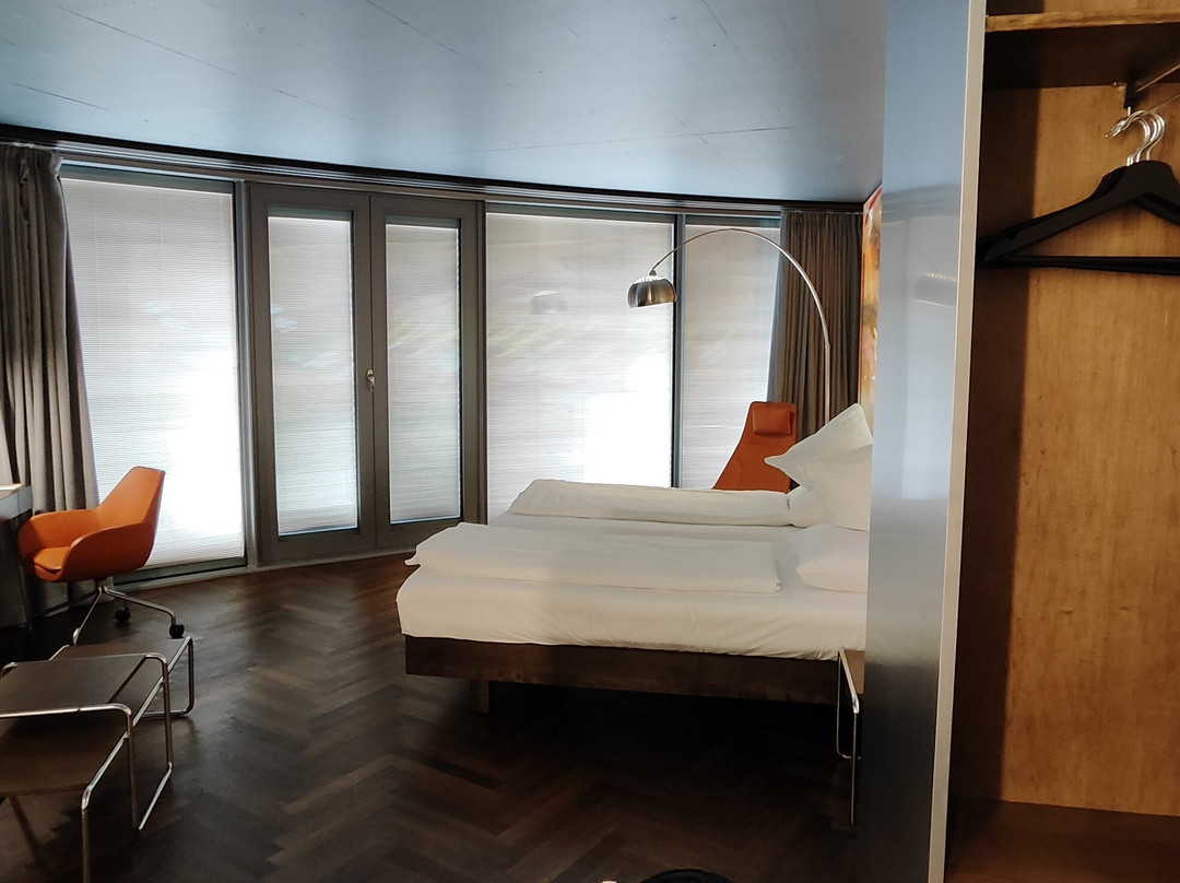 Hirschen Oberkirch Design Boutique Hotel主图