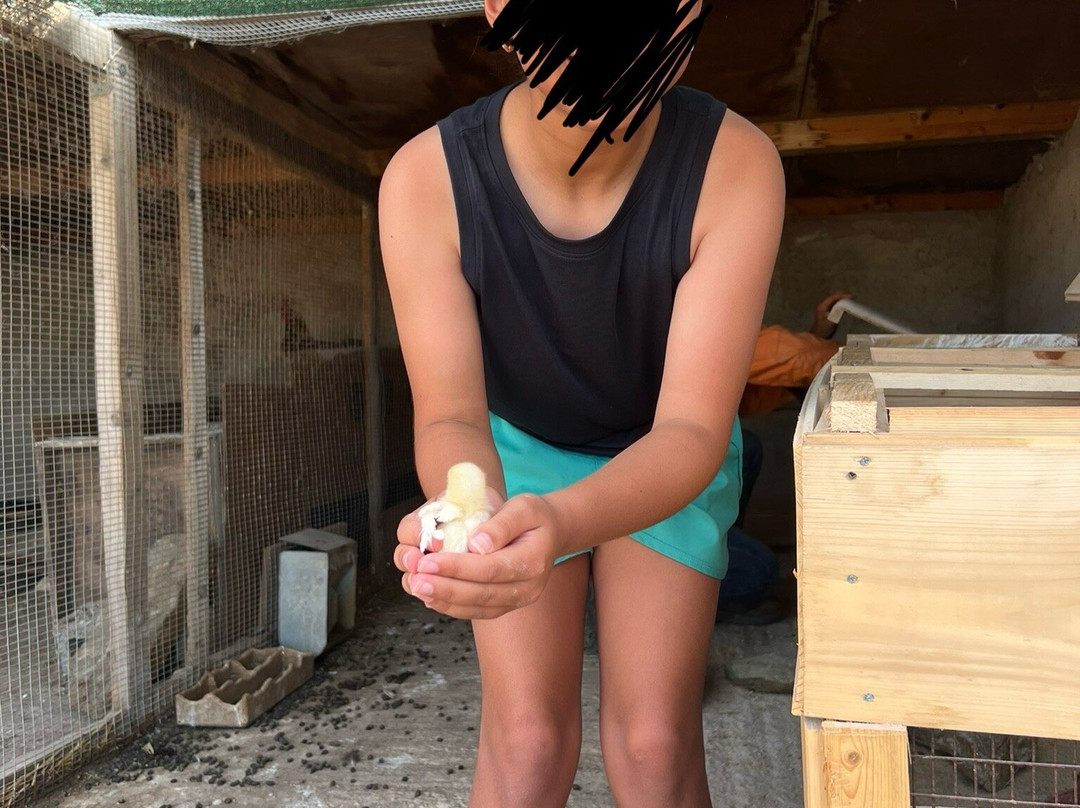 Anthi Farm Sifnos-Apollonia必去景点