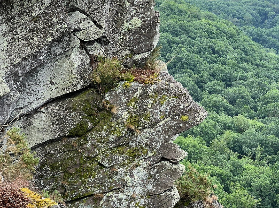 La Roche d'Oetre-Saint-Philbert-sur-Orne必去景点