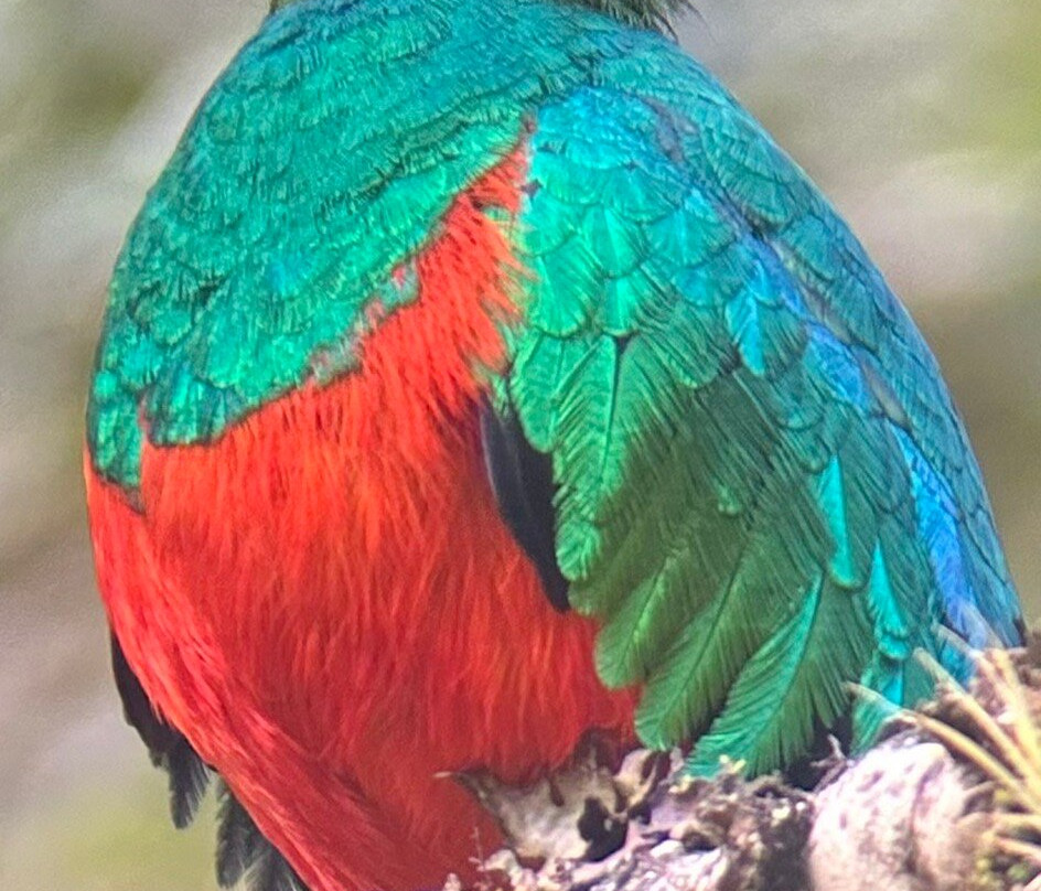 EXPEDICIONES VILCA-Manu必去景点