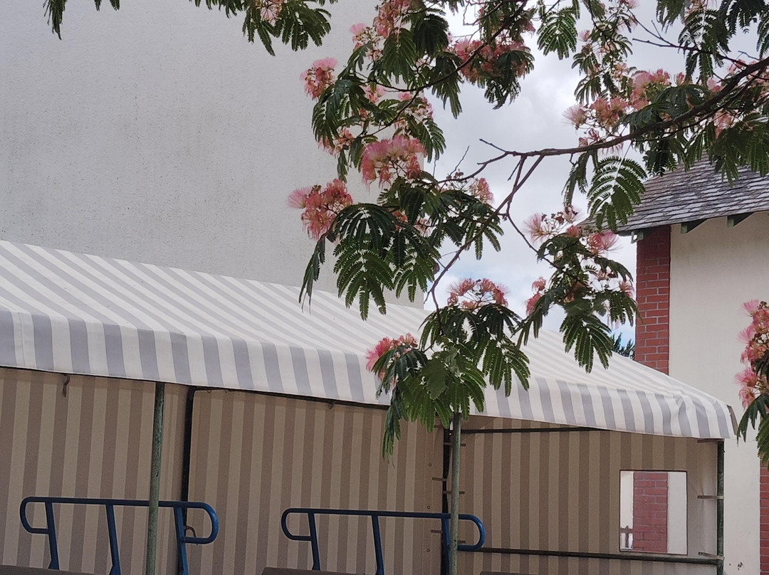 Velo-Rail-Commequiers必去景点