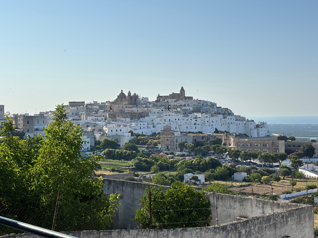 奥斯图尼宫酒店主图
