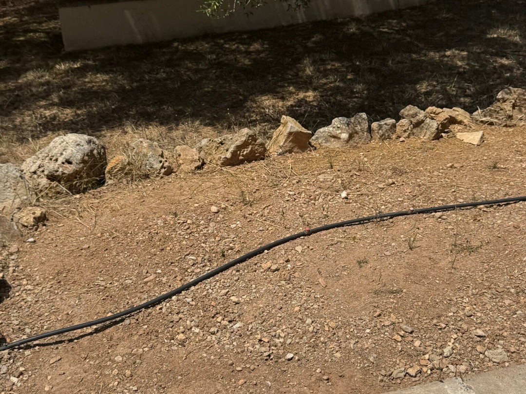 Agroturisme Rafal Nou主图