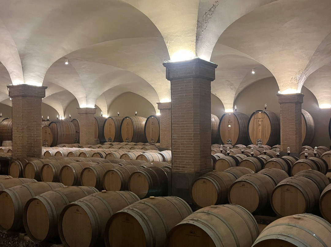 Castiglion del Bosco Winery-蒙塔尔奇诺必去景点