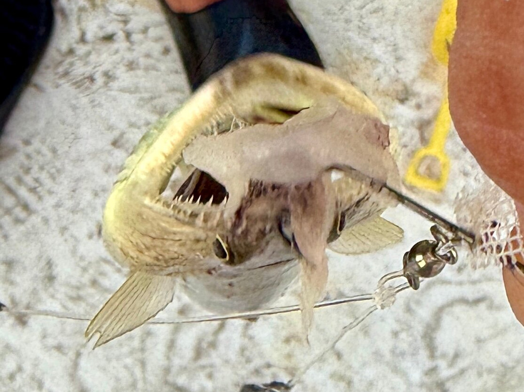 Pogies-Swansboro必去景点