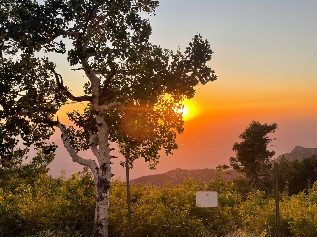 Mt. Lemmon SkyCenter Observatory-Mount Lemmon必去景点